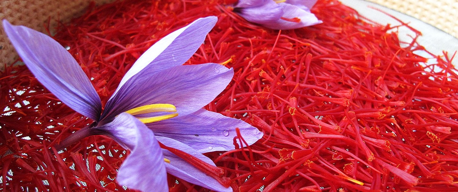 فروشندگان زعفران